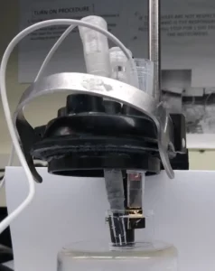 Electrochemical testing setup used to evaluate Nikalyte-fabricated gold electrodes