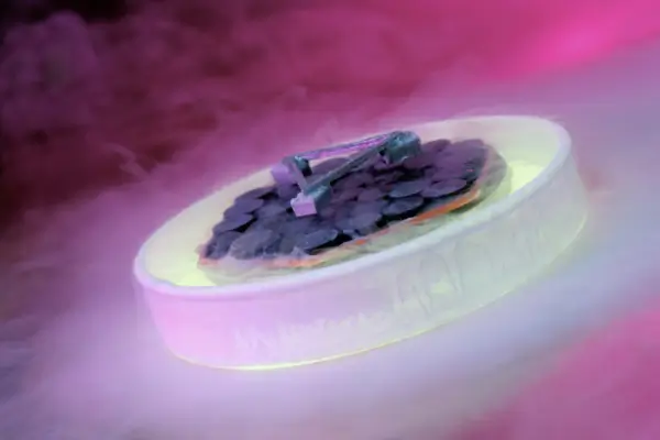 High-Temperature Superconductors Shaping the Future of Quantum Materials