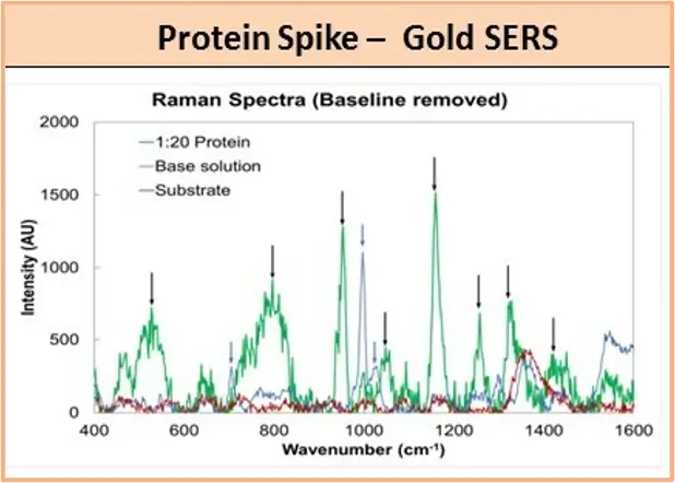 SARS‐CoV‐2 Screening Using Nikalyte's GOLD SERS protein spike