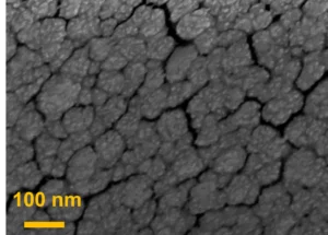 SEM image of gold electrode coated with gold nanoparticles using Nikalyte tetchnology